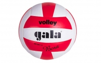 Мяч волейбольный Gala Bora BV5411S